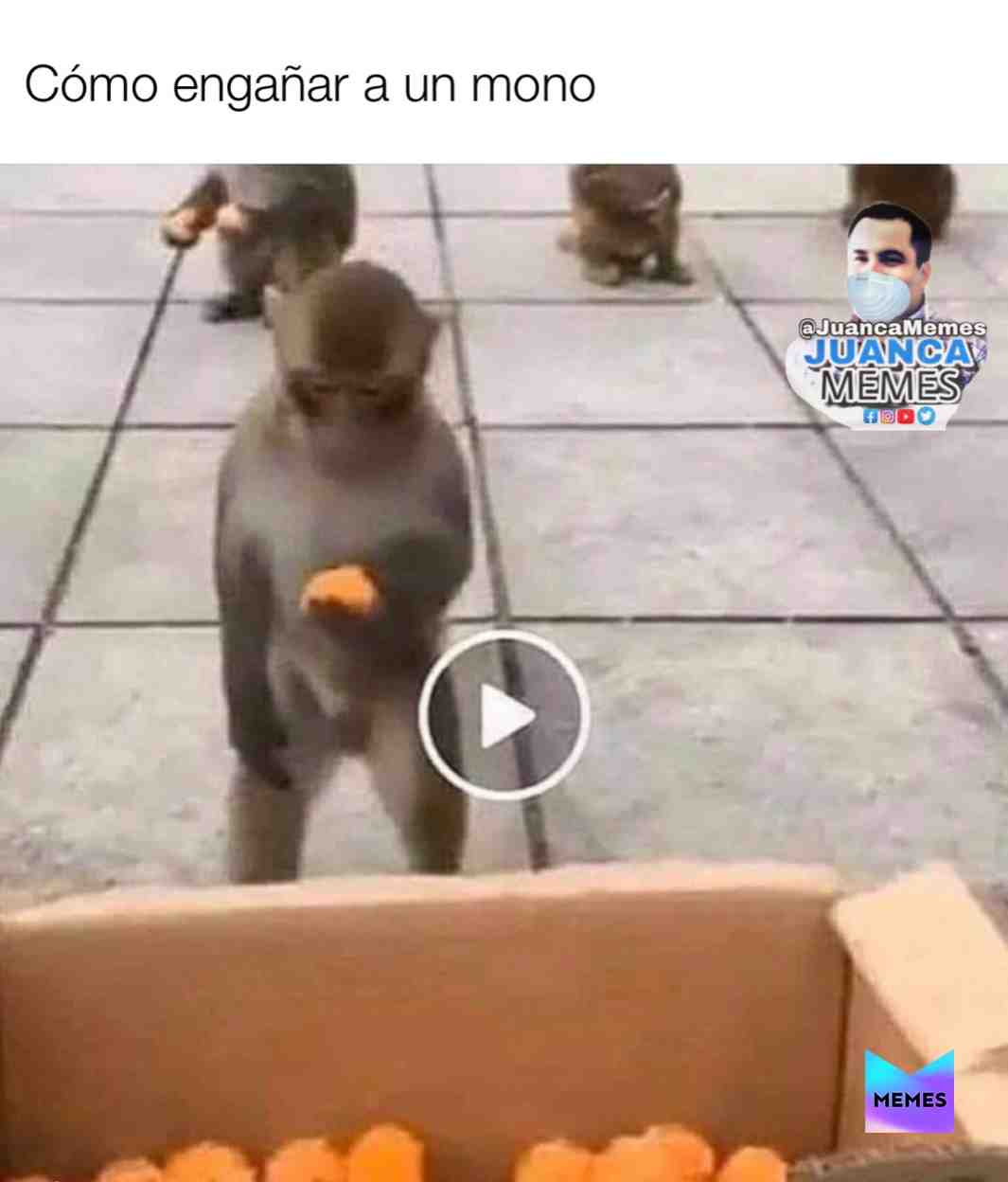\u202aTienes que ver esto!\u202c
\u202a^*\u2019\ud83d\udcaf\u2714\ufe0f1\ud83d\udde3 PLEASE #follow and #share \u202c
\u202a #JuancaMemes\u202c
\u202a #meme #memes #funny #memesdaily #funnymemes #lol #follow #memesmexicanos #memesenespanol #dailymemes #comedy #instagram #fun #quarentine #fortnite #funnymeme #corona #coronamemes #coronavirus\u202c