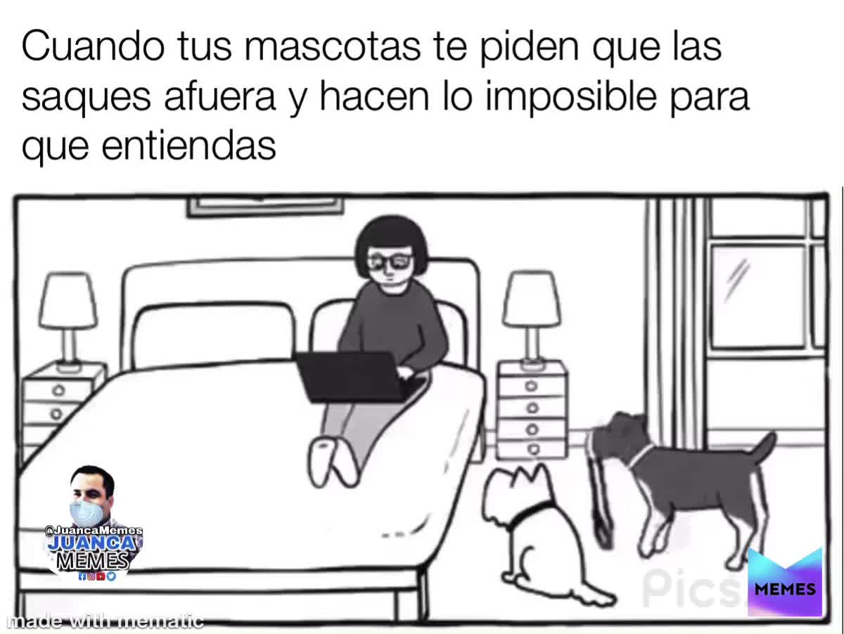 ‪Sácalos a correr‬
‪d^*’??✔️1?? PLEASE  #follow and  #share ‬
‪ #JuancaMemes‬
‪ #meme  #memes  #funny  #memesdaily  #funnymemes  #lol  #humor  #follow  #like  #lmao  #love  #memesmexicanos  #memesenespanol  #dailymemes  #comedy  #instagram  #fun  #quarentine ‬