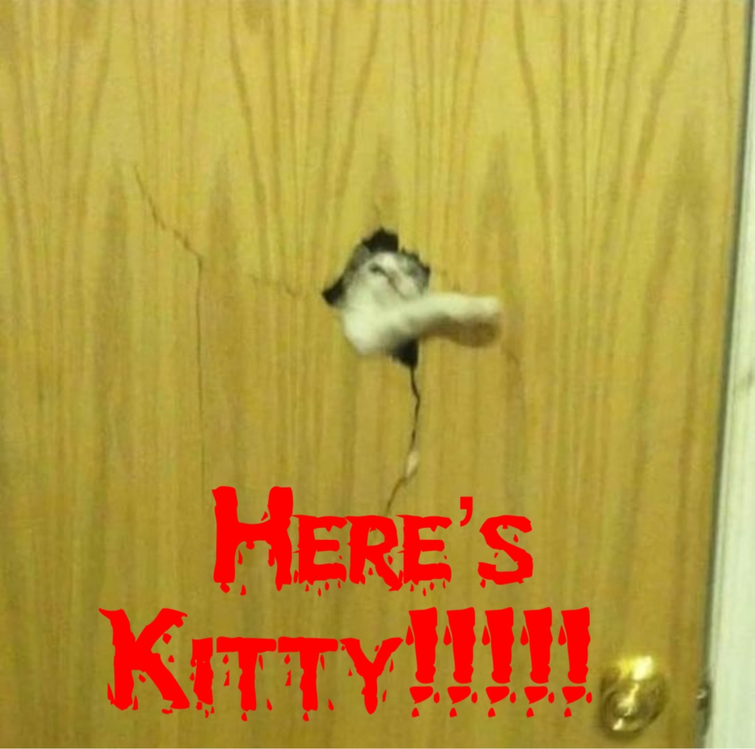 Here’s Kitty!!!!!