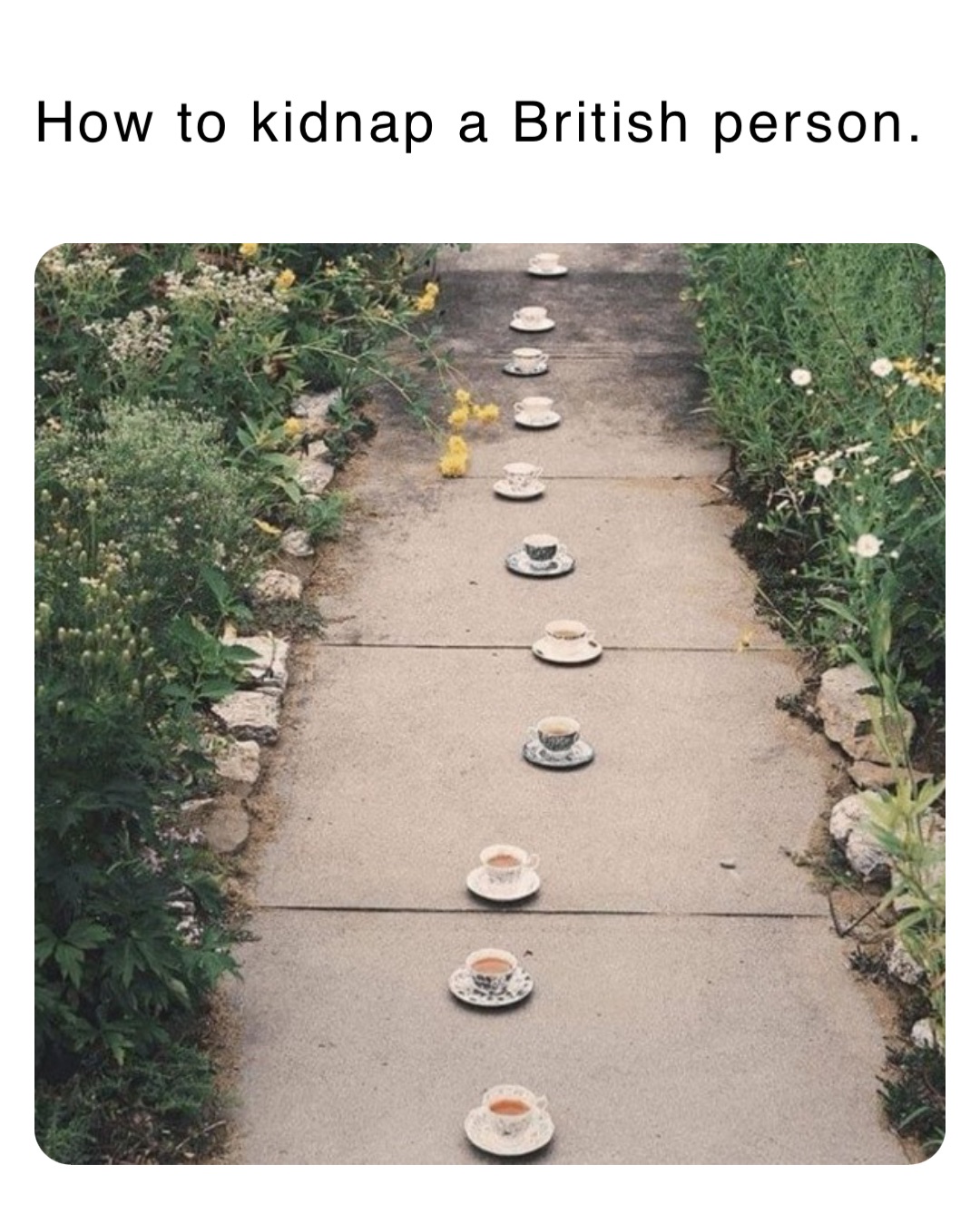 How to kidnap a British person.