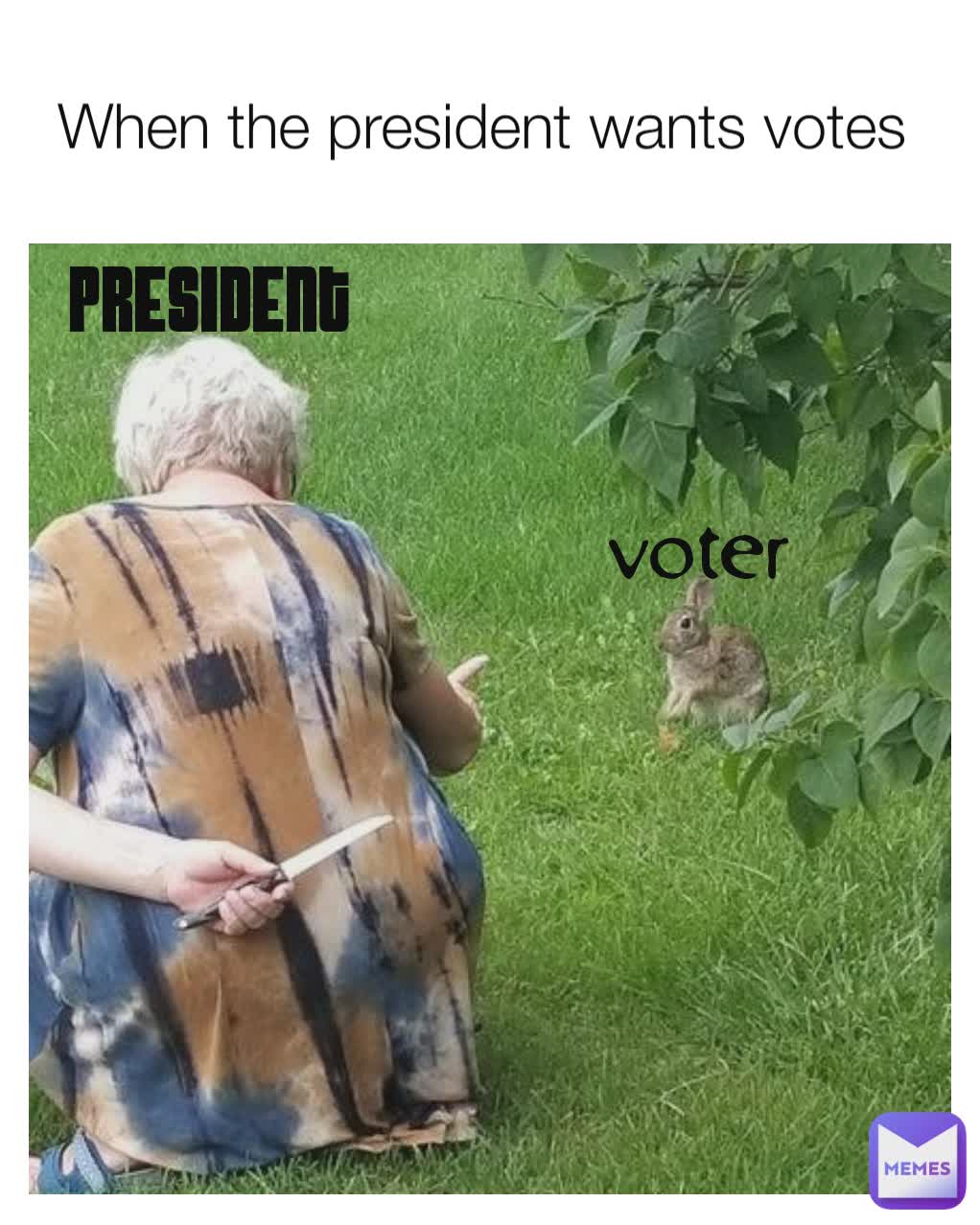 voter President  When the president wants votes 