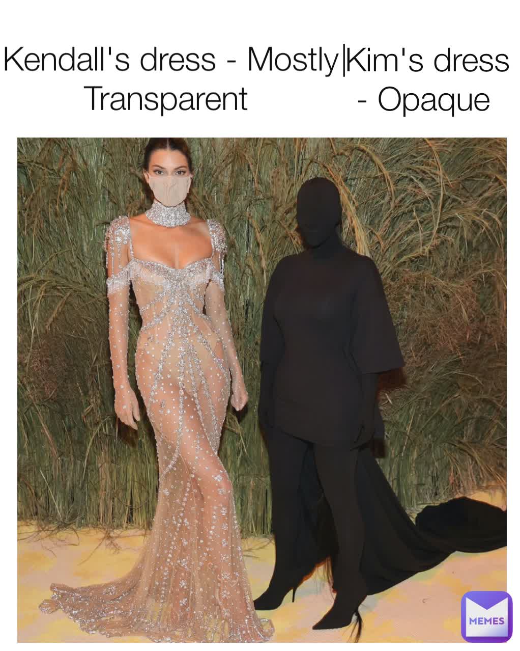 Kendall's dress - Mostly Transparent  Kim's dress - Opaque  |