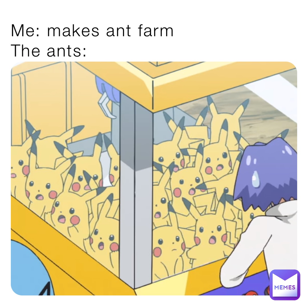 Me: makes ant farm
The ants: