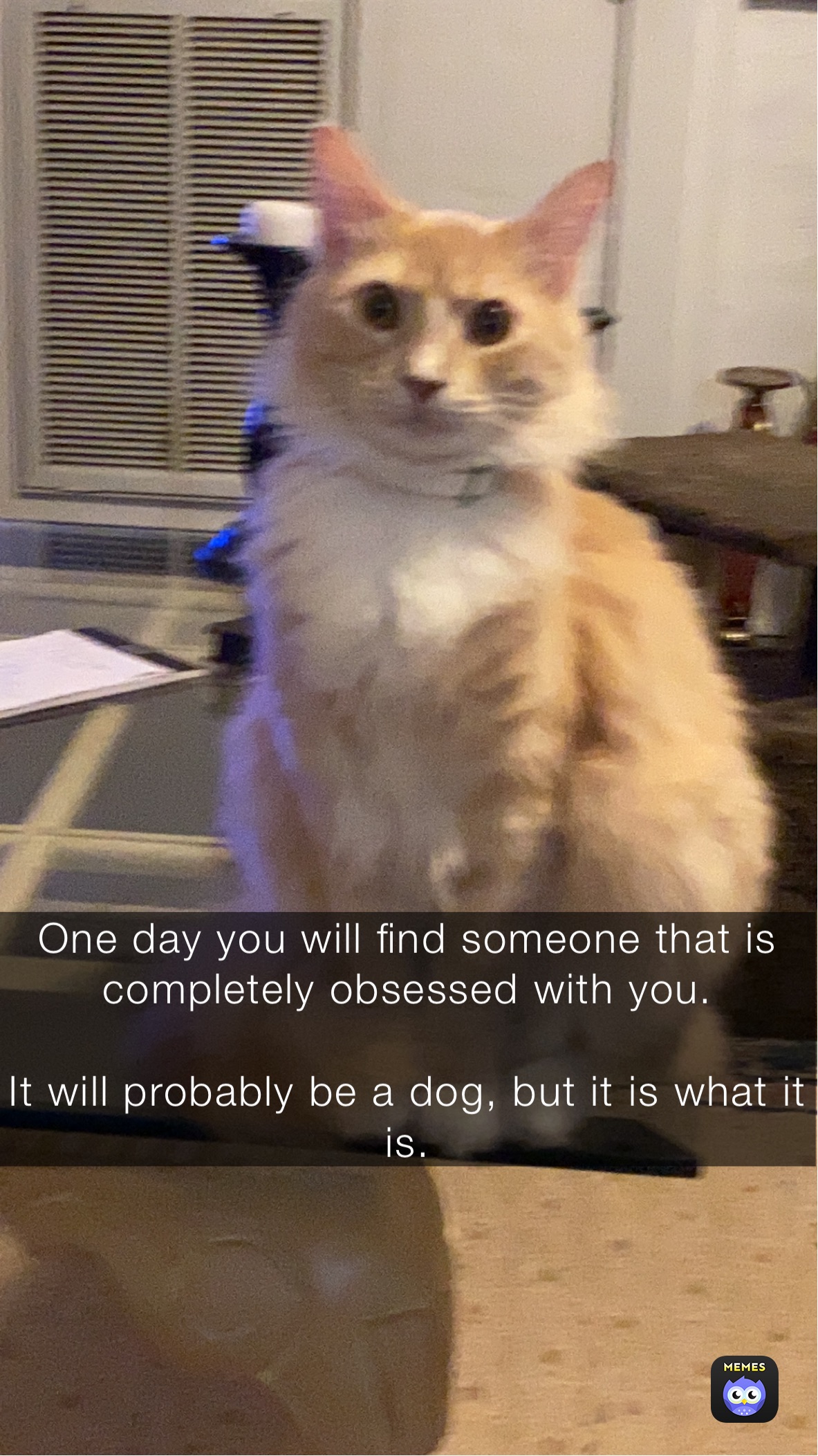 Meme by dougmusicandart