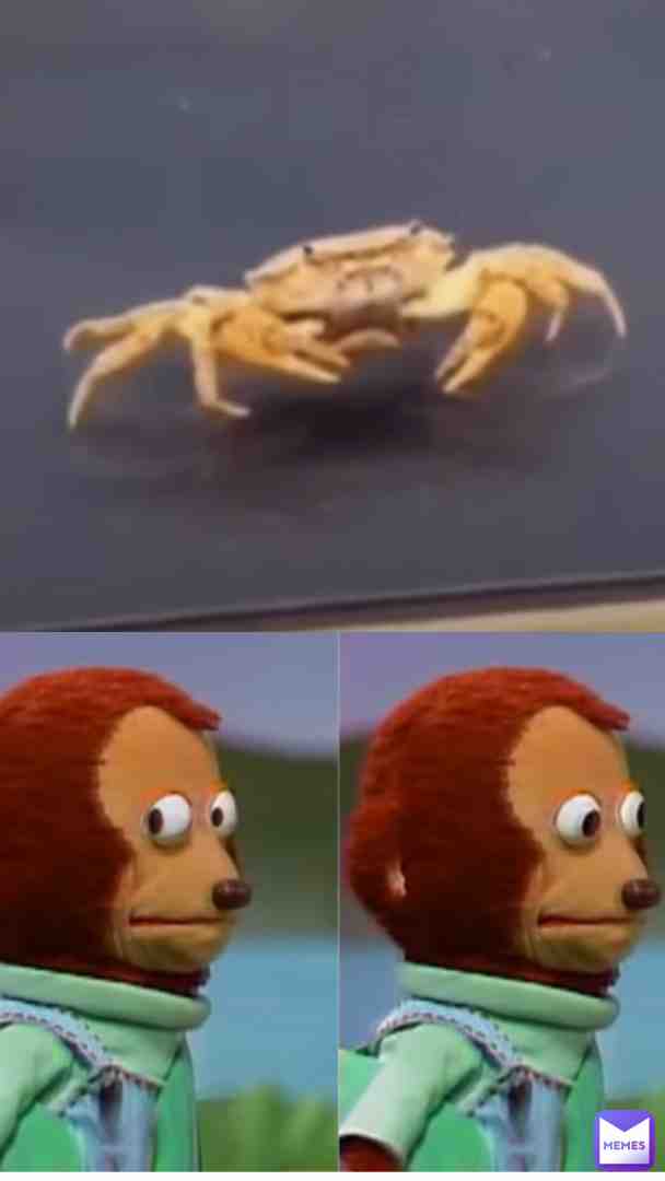 What u lookin at punk