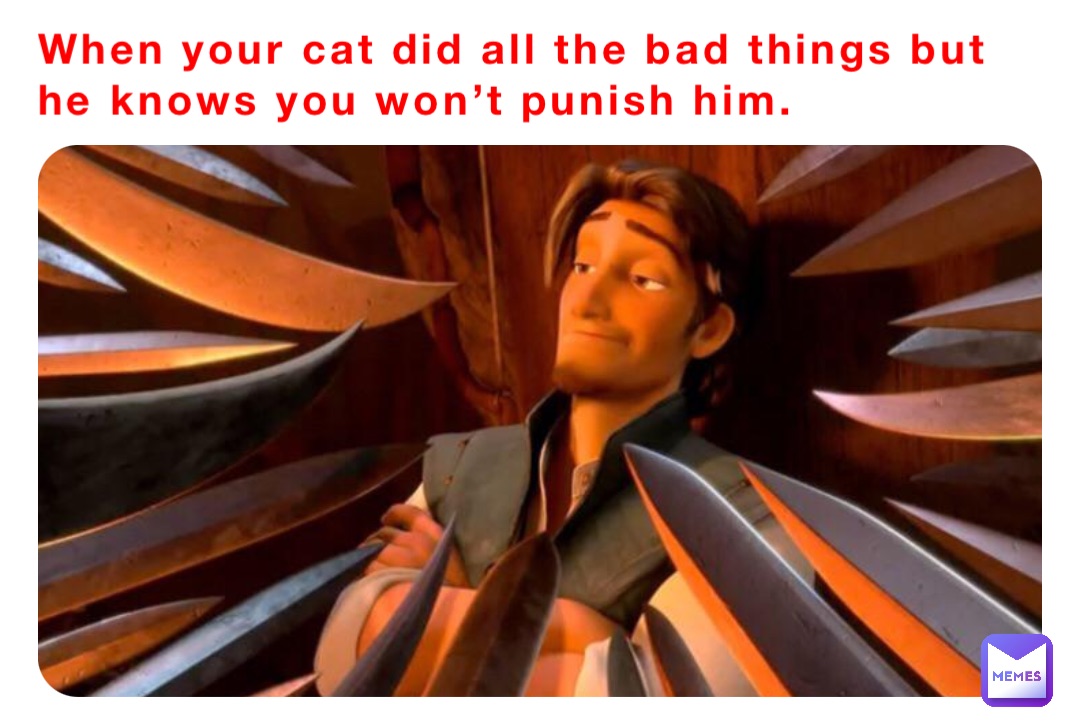 When your cat did all the bad things but he knows you won’t punish him.