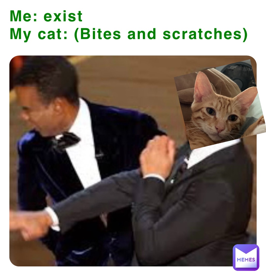 Me: exist
My cat: (Bites and scratches)