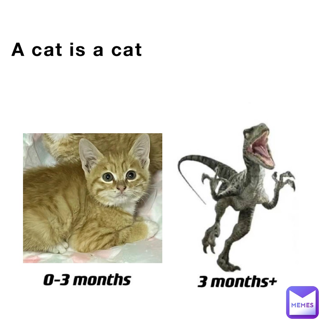 A cat is a cat