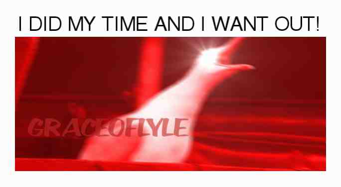 Meme shared by @therzer5