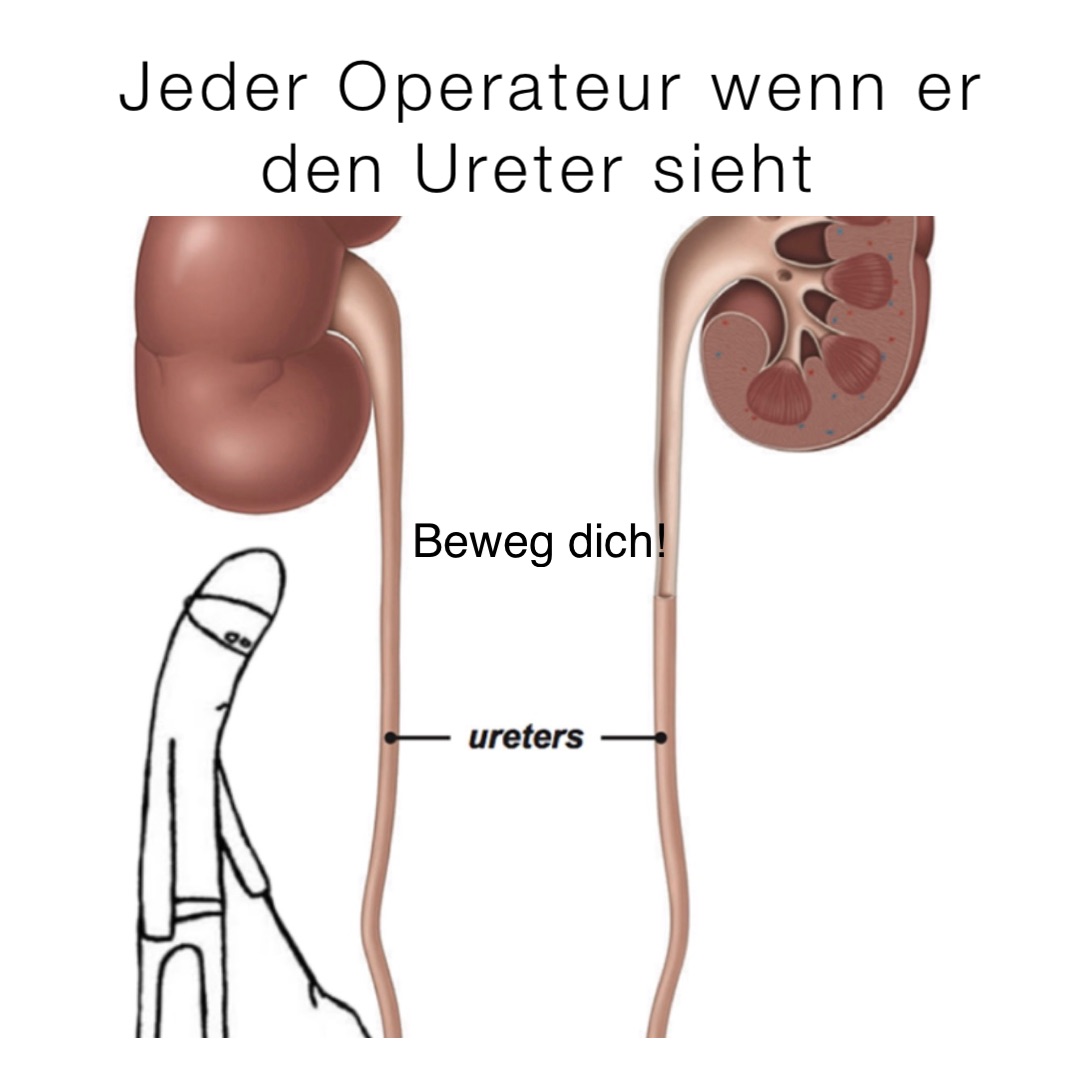 Jeder Operateur wenn er 
den Ureter sieht Beweg dich!