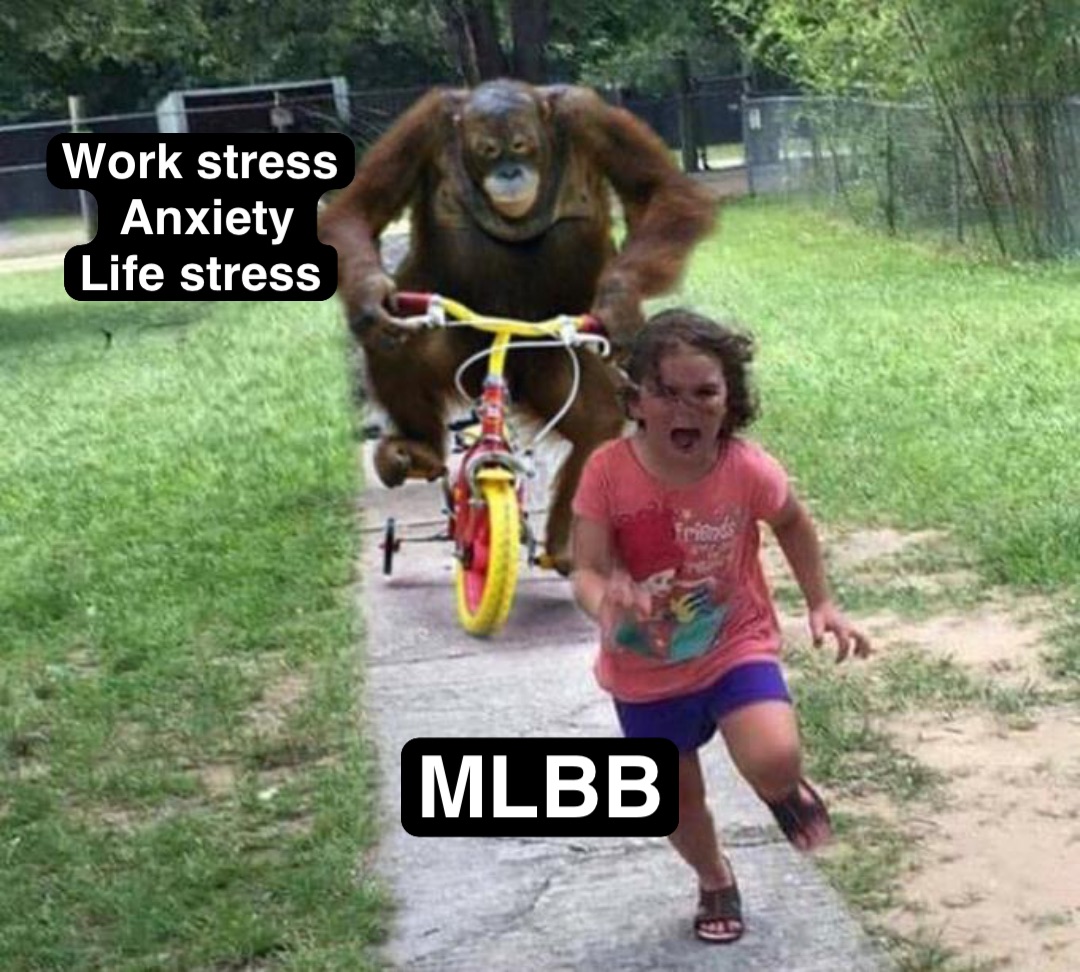 Work stress
Anxiety 
Life stress MLBB