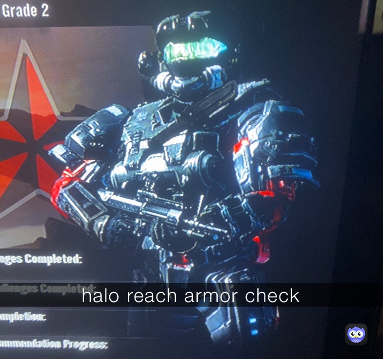 halo reach armor check