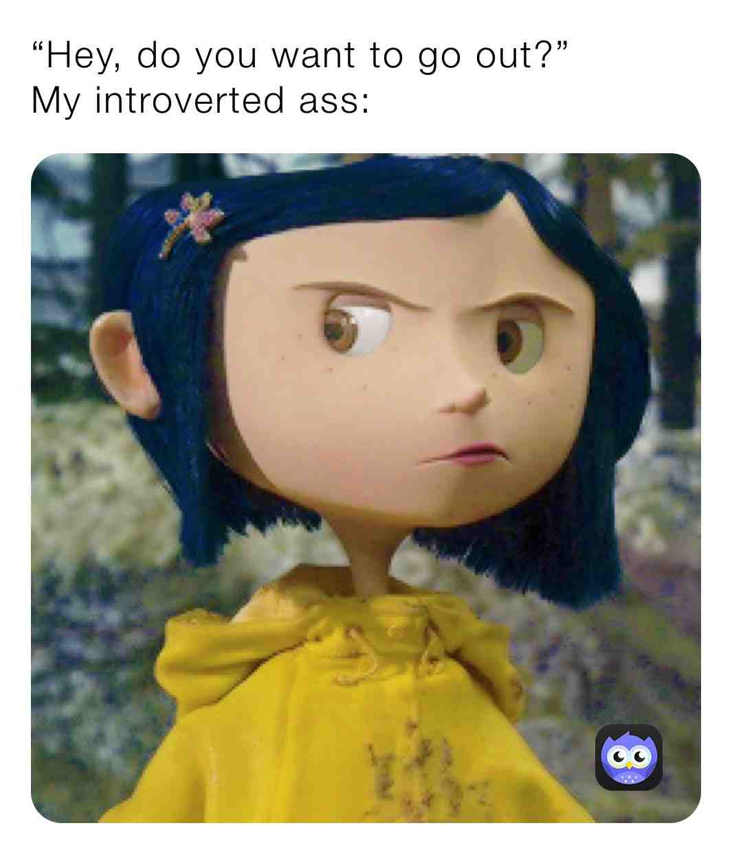 Meme preview