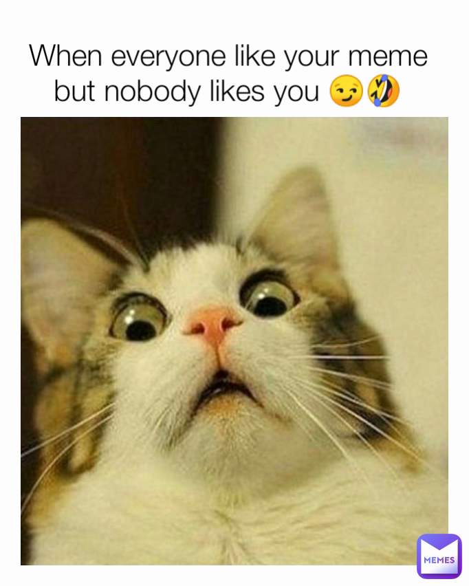 When everyone like your meme but nobody likes you 😏🤣