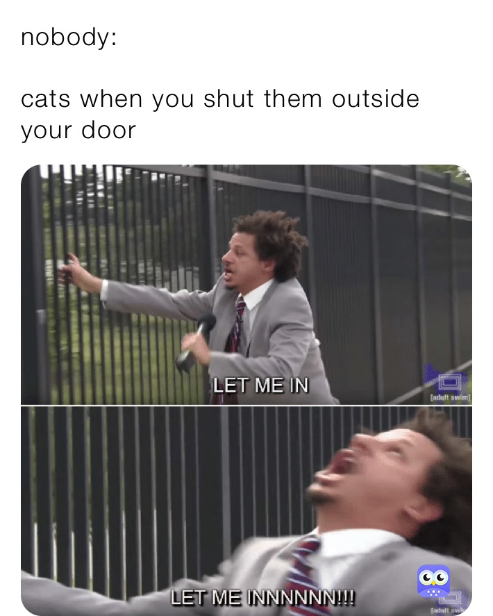 nobody: 

cats when you shut them outside your door 