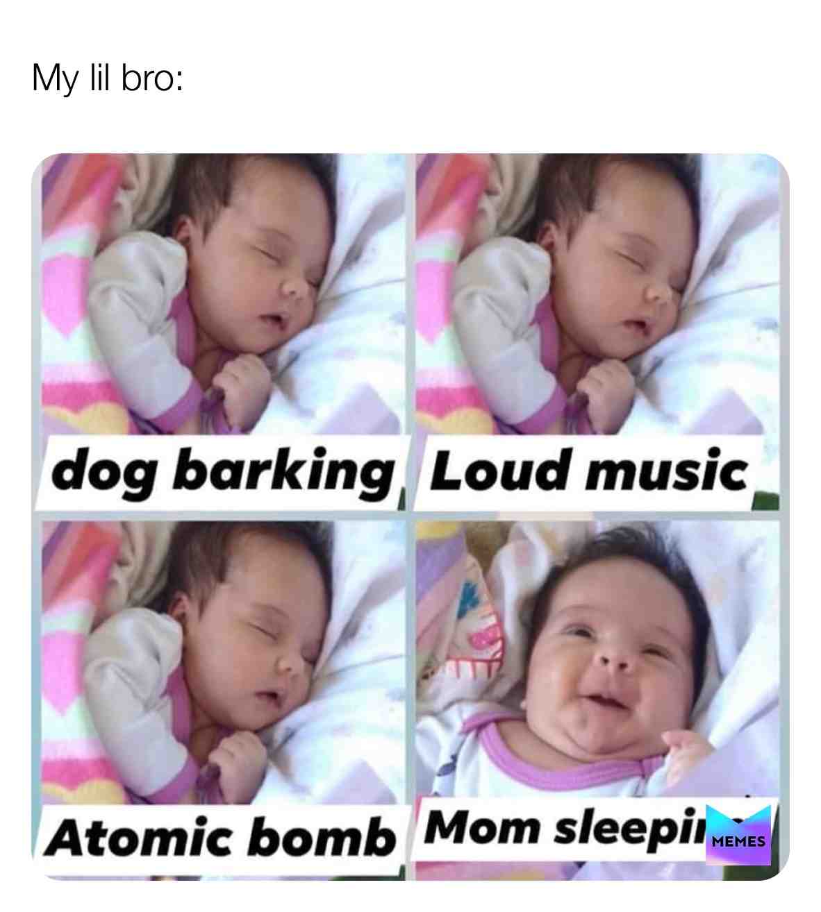 #gay  #gaymemes  #weed  #woke  #jokes  #joke  #sarcasm  #stupid  #kids
