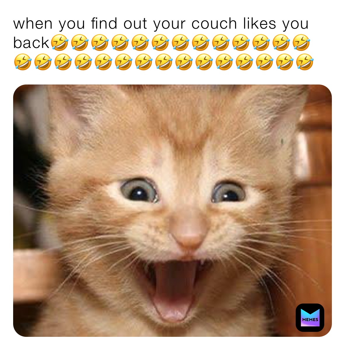 Meme by Laurayyyyyyyyy