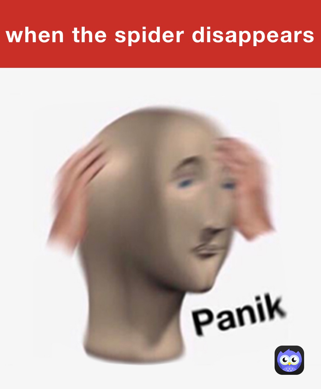 when the spider disappears