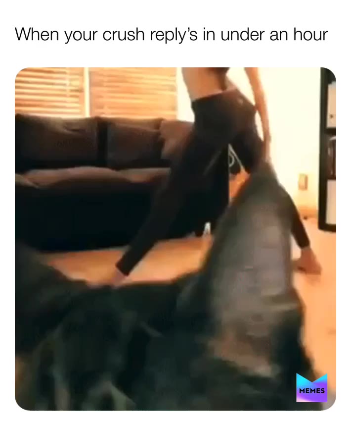 [nocaption]  #trending  #lol  #funny  #meme  #memes