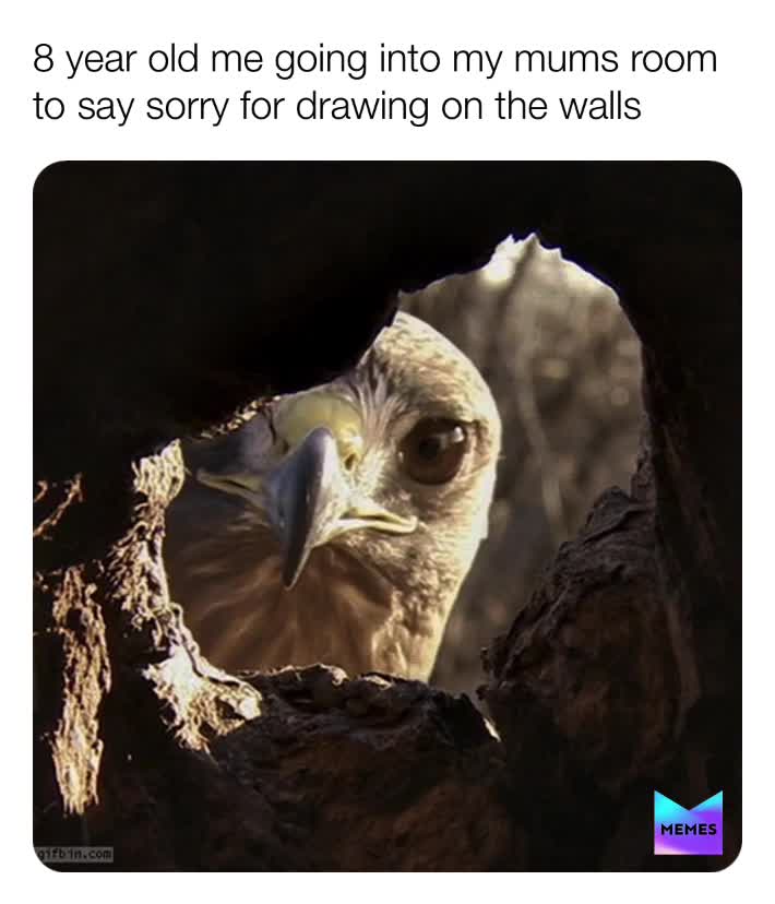 Lol  #fyp  #trending  #memes  #lol