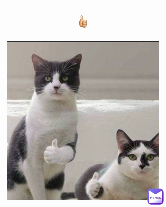 Meme by masteroogwaylikesyou