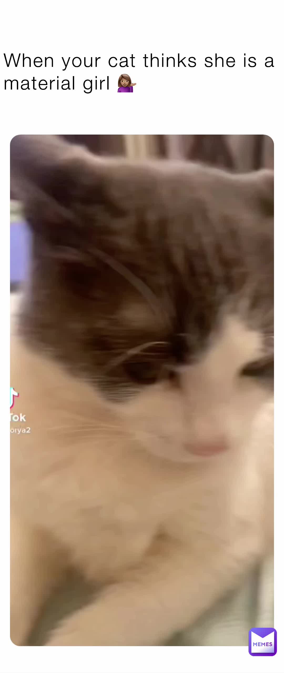 Meme preview
