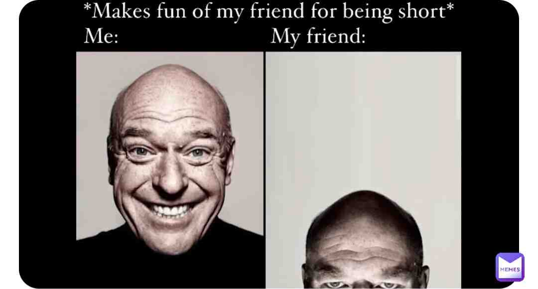 Meme shared by @AMemerWithAMullet