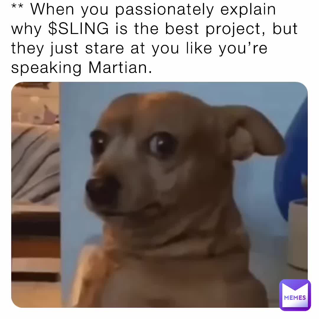 Meme shared by @papamo1995d
