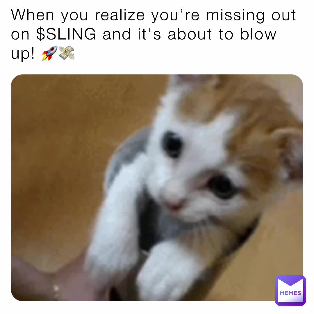 Meme shared by @papamo1995d
