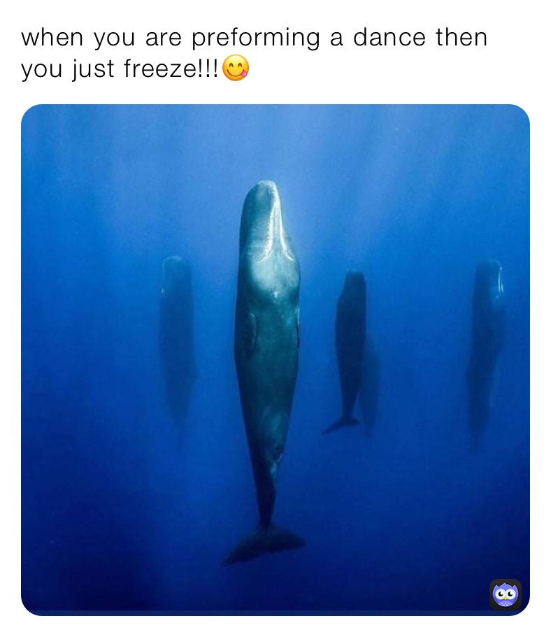 when you are preforming a dance then you just freeze!!!😋