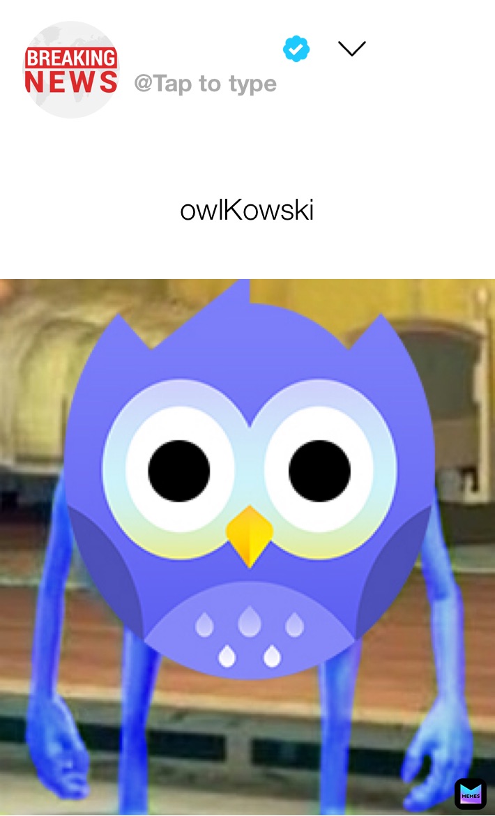 owlKowski