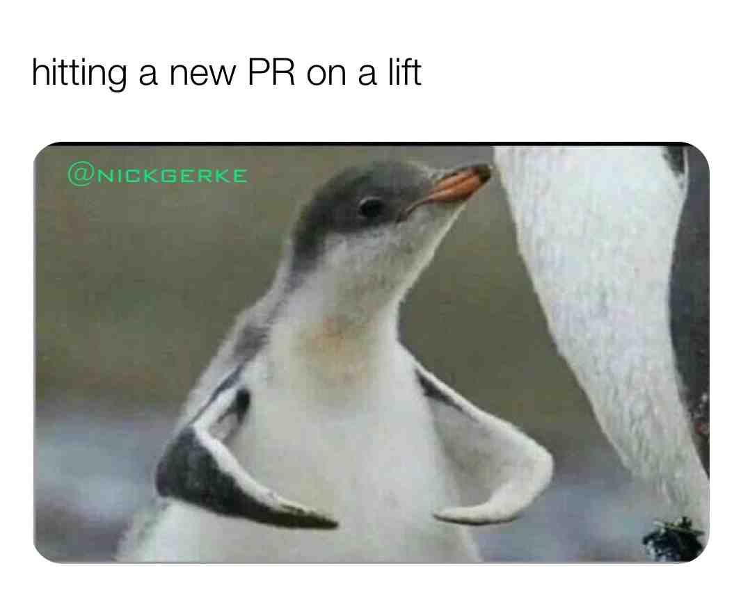 New pr new me #lift #fitness #humor