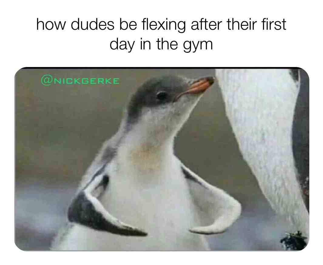 One day, one workout, all the gains #fitness #humor