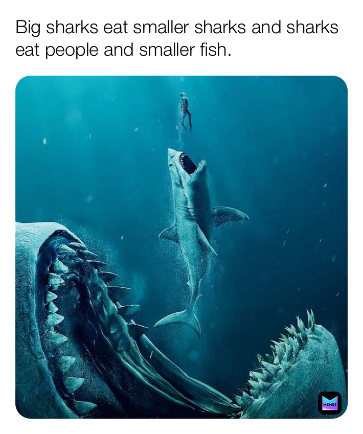 Big sharks eat smaller sharks and sharks eat people and smaller fish.