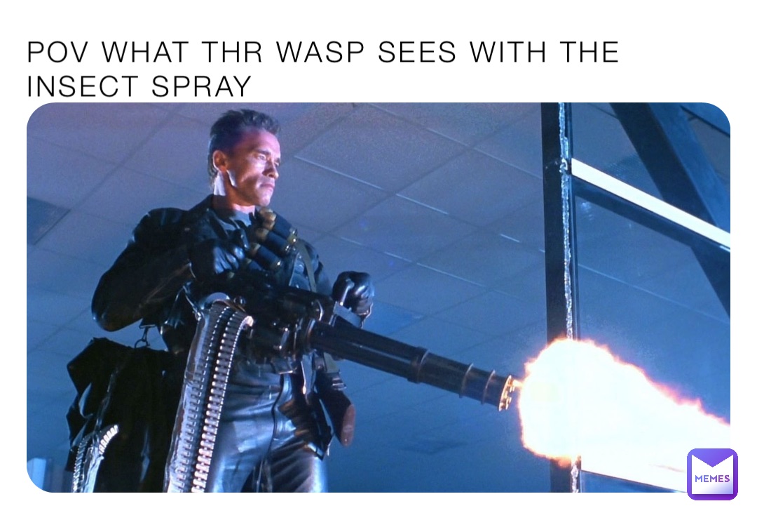 POV WHAT THR WASP SEES WITH THE INSECT SPRAY