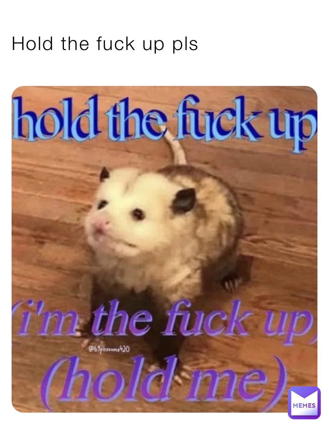 Hold the fuck up pls