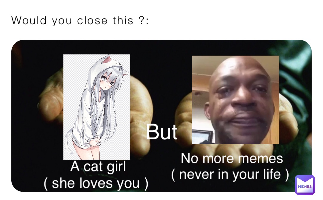 Would you close this ?: A cat girl 
( she loves you ) No more memes 
( never in your life ) But