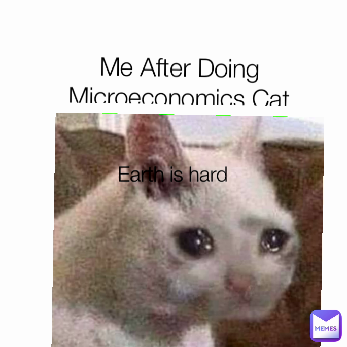 Earth is hard Me After Doing Microeconomics Cat