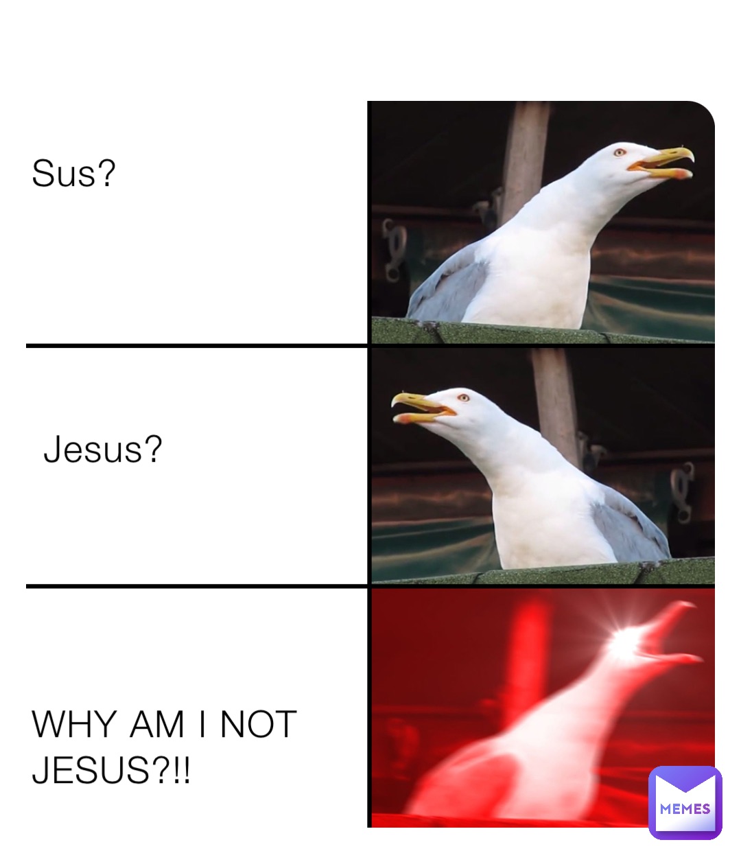 Sus?





 Jesus?





WHY AM I NOT JESUS?!!