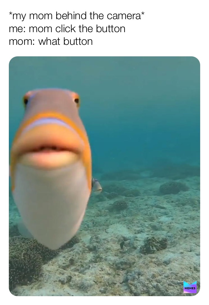 Meme by yeehaw_partner