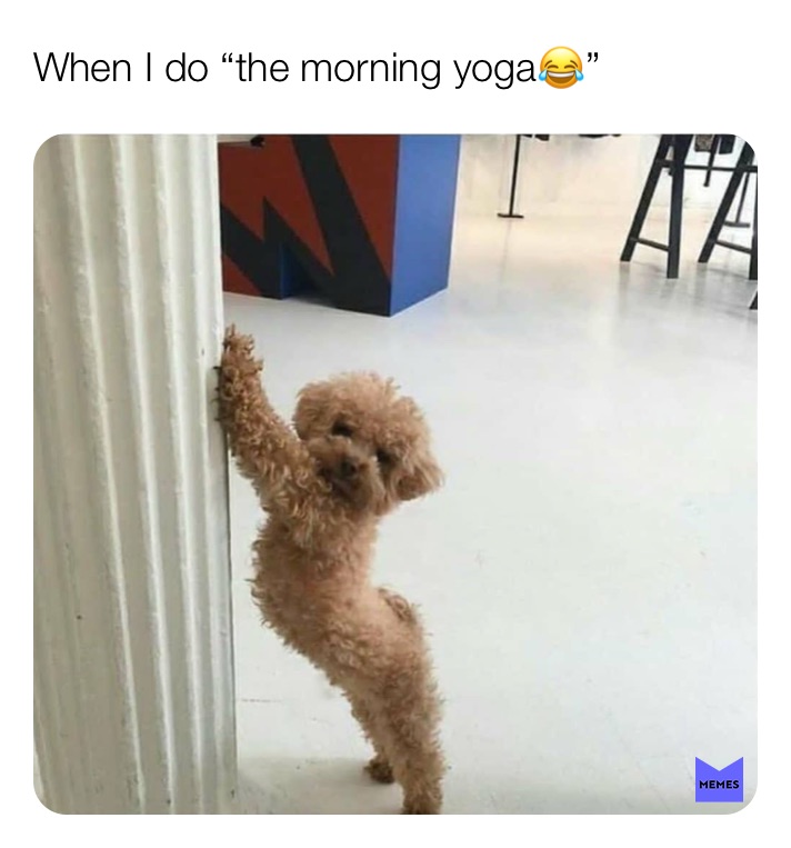 Yoga Memes