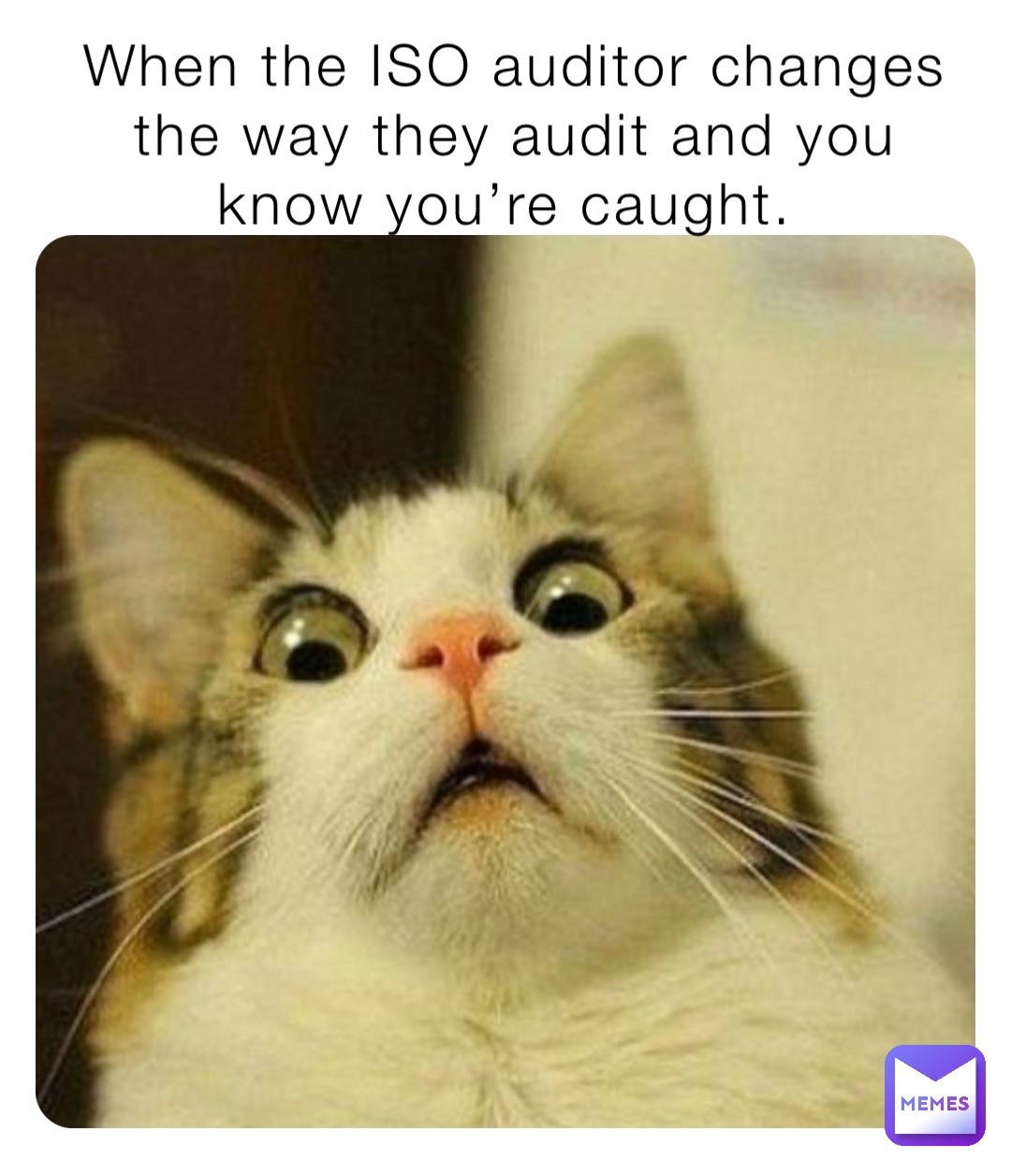 When the ISO auditor changes the way they audit and you know you’re caught.