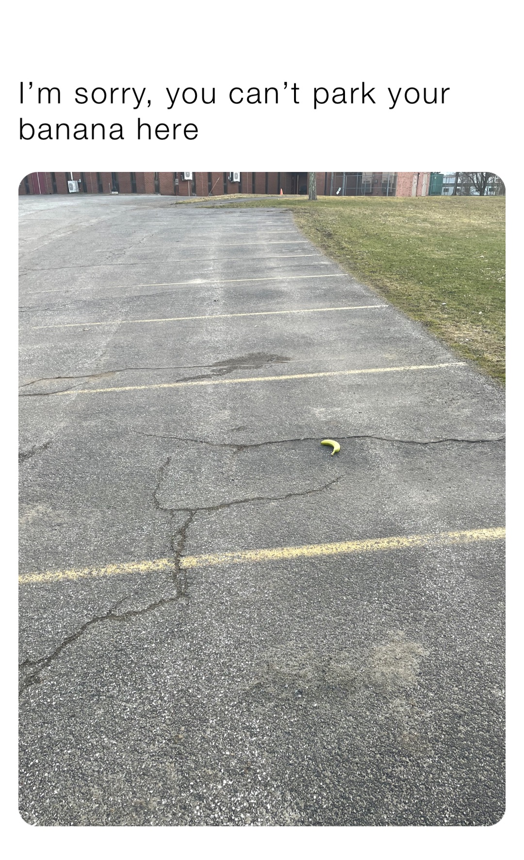 I’m sorry, you can’t park your banana here