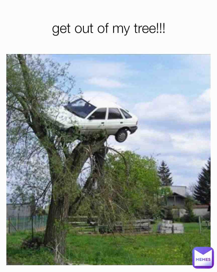 Meme shared by @memespro1