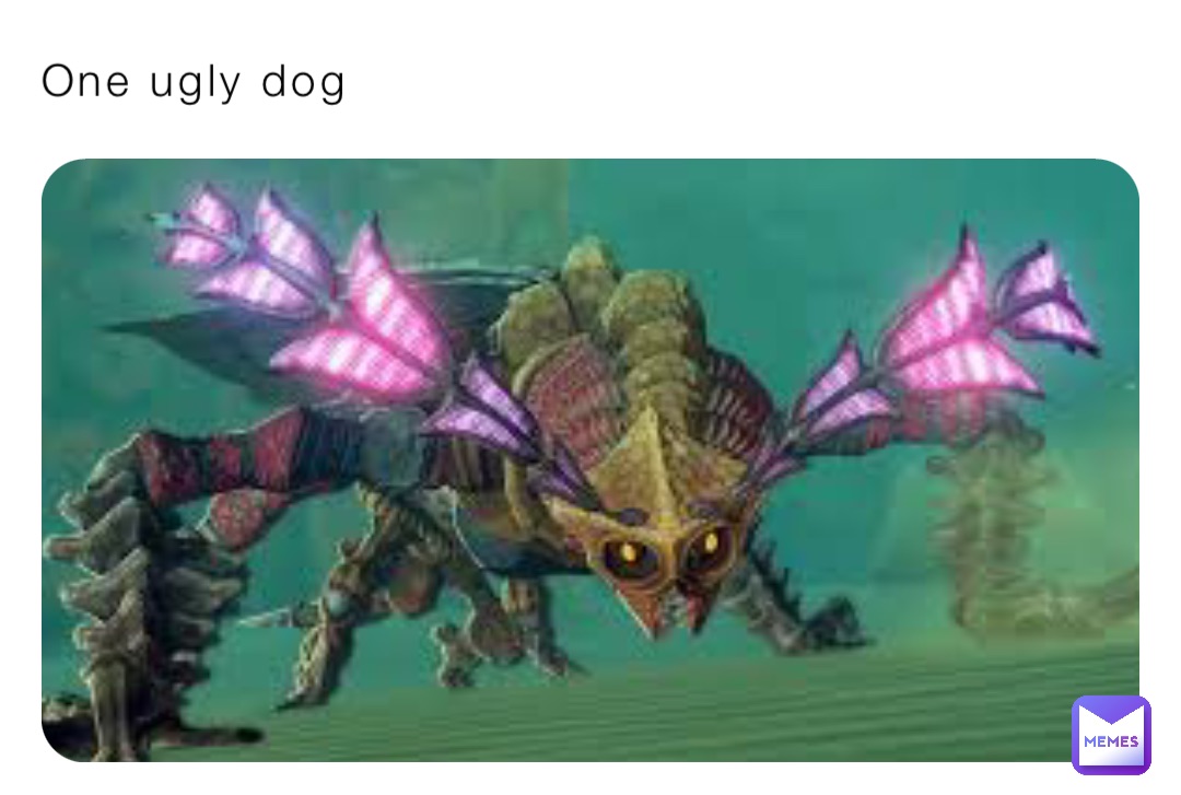 One ugly dog