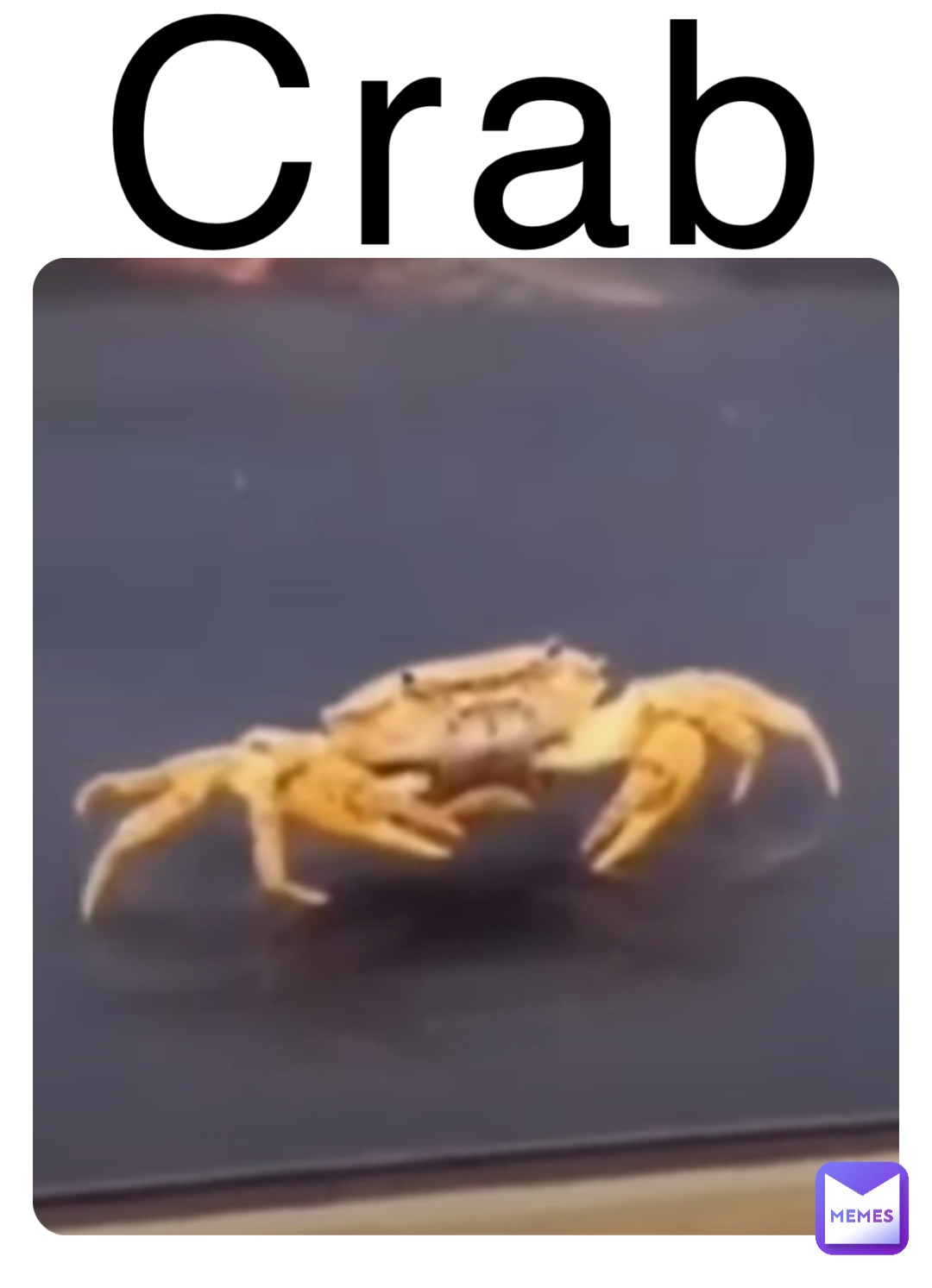 Meme by thezebramaste