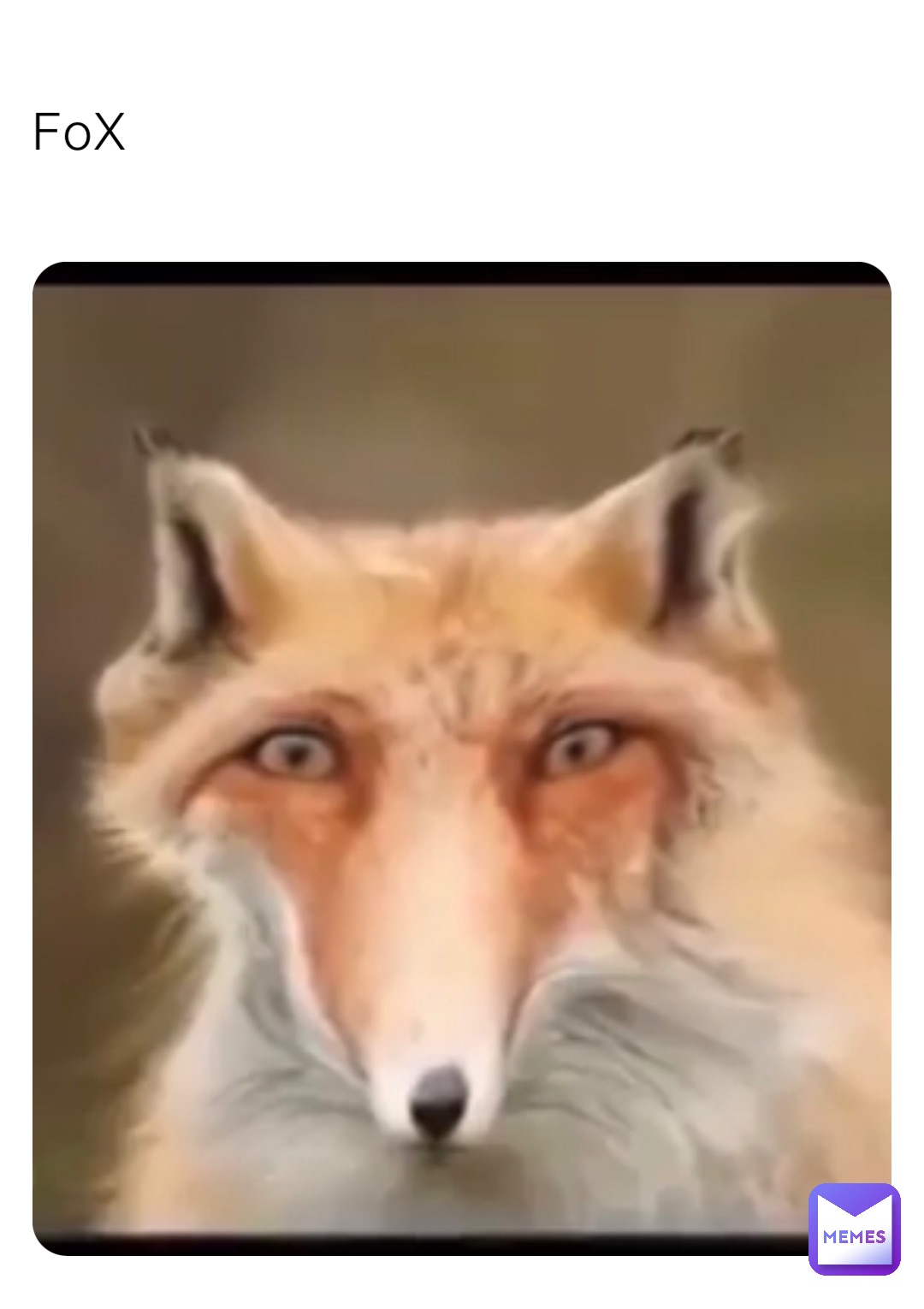 FoX