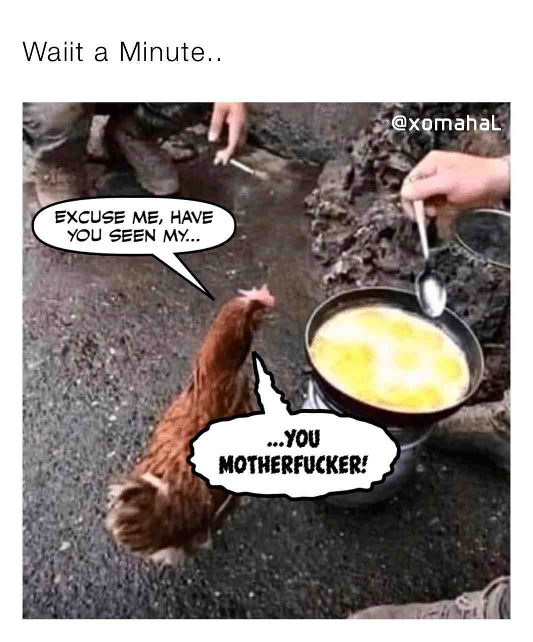 Save our chicken🤧🤣 #eggs #savage #chicken #hungry #mean #funny