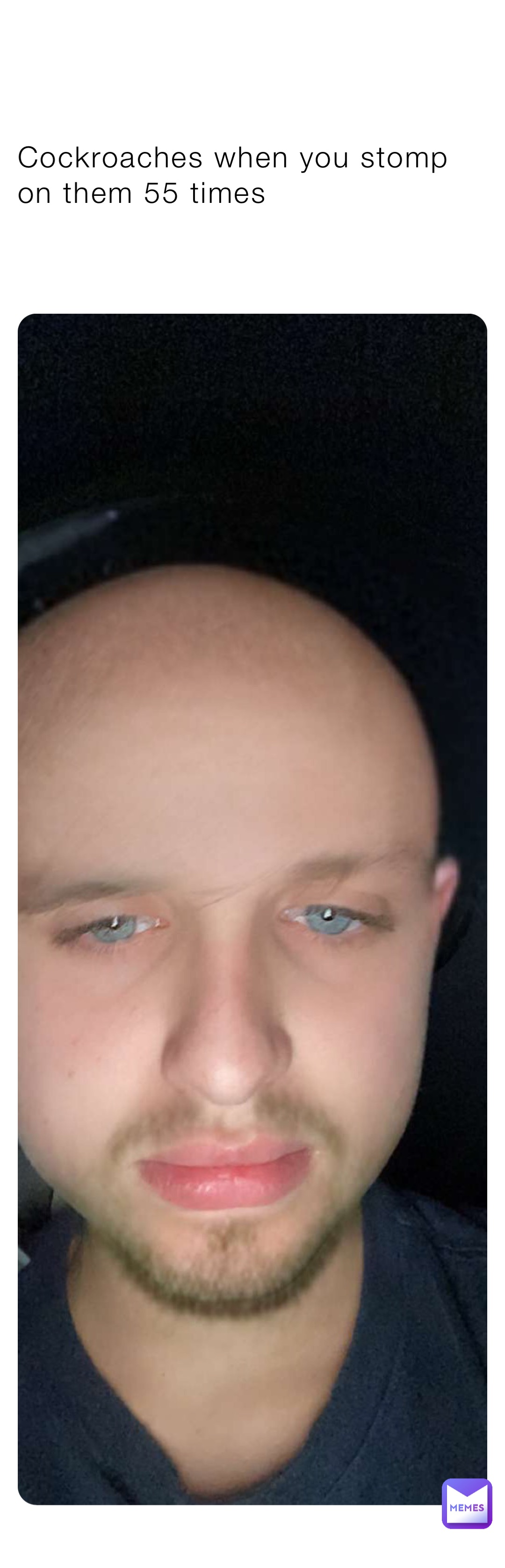 Cockroaches when you stomp on them 55 times