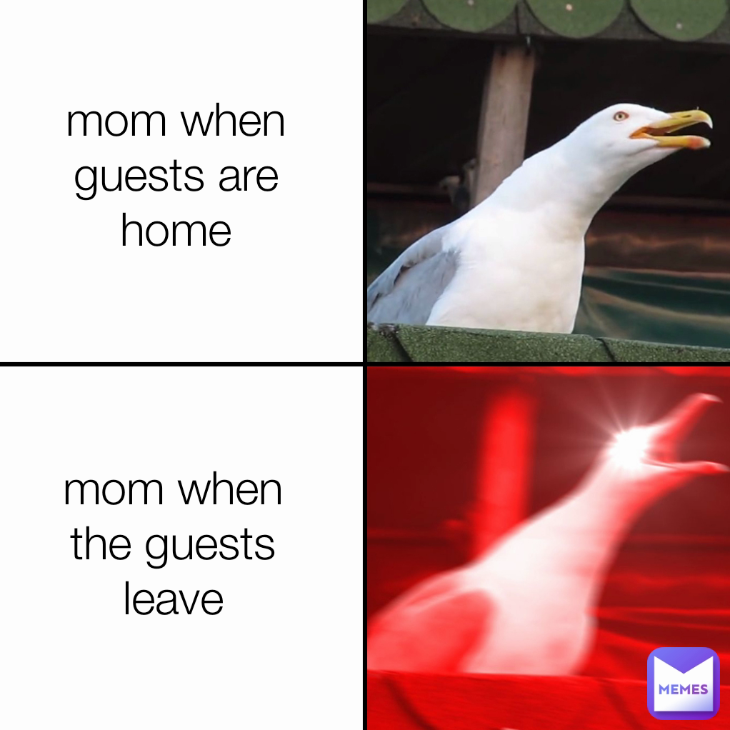 mom when guests are home mom when the guests leave | @Creptix | Memes